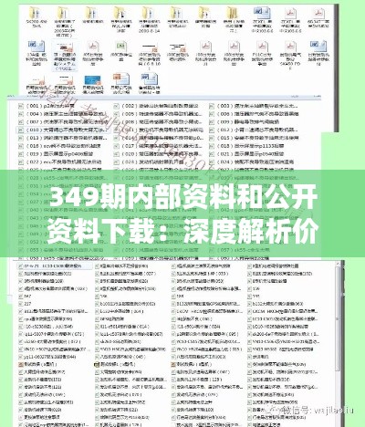 349期内部资料和公开资料下载：深度解析价值所在