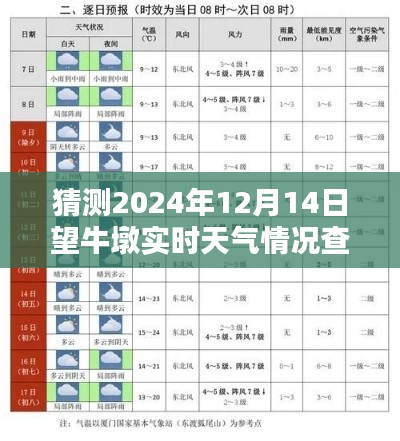 揭秘预测，望牛墩未来天气展望——以望牛墩镇在2024年12月14日的实时天气情况查询为焦点