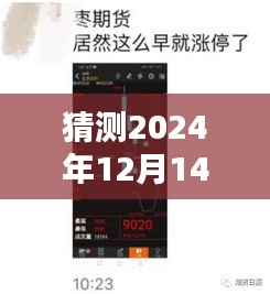 探秘特色小店与实时行情，上海期货市场深度解析与美食之旅——2024年12月14日行情展望