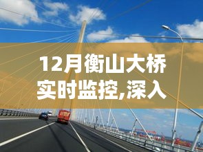 12月衡山大桥实时监控全面介绍与评测