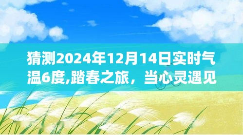 心灵遇见奇妙时光，气温6度的踏春之旅，2024年12月14日实时体验