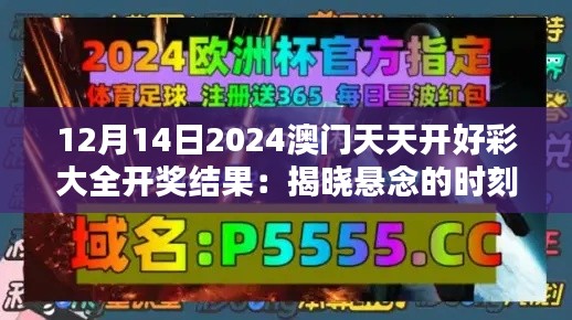 2024年12月14日 第7页