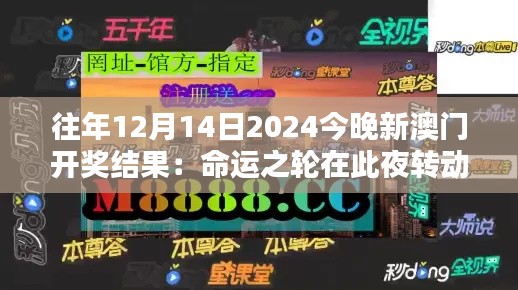 往年12月14日2024今晚新澳门开奖结果：命运之轮在此夜转动