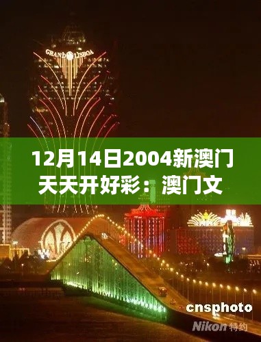 12月14日2004新澳门天天开好彩：澳门文化与经济一体化的象征