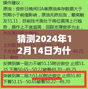 探究2024年12月14日排队现象背后的原因，为何派单受阻？实时派单受阻的真相分析。