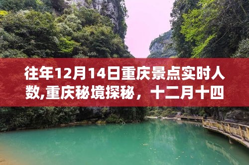 重庆秘境探秘，十二月十四日的暖心之旅景点实时人数统计