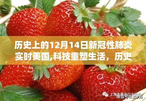 历史上的12月14日，美国科技在新冠性肺炎背景下的革新之旅