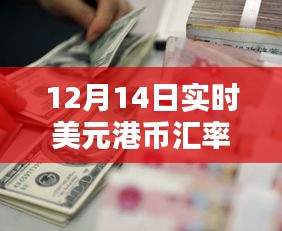 揭秘12月14日美元港币汇率走势，小红书热议，实时掌握汇率动态