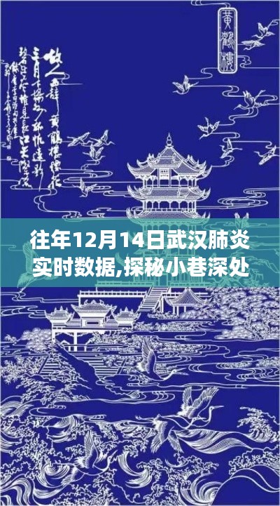 武汉特色小店肺炎实时数据与暖心角落故事揭秘，探秘小巷深处的温情守护