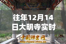 往年12月14日大明寺实时路况详解，特性、体验、竞品对比及用户分析评测报告揭秘！