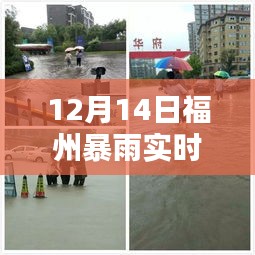 福州暴雨下的智能守护与疫情实时播报神器亮相，科技前沿助力抗疫战斗