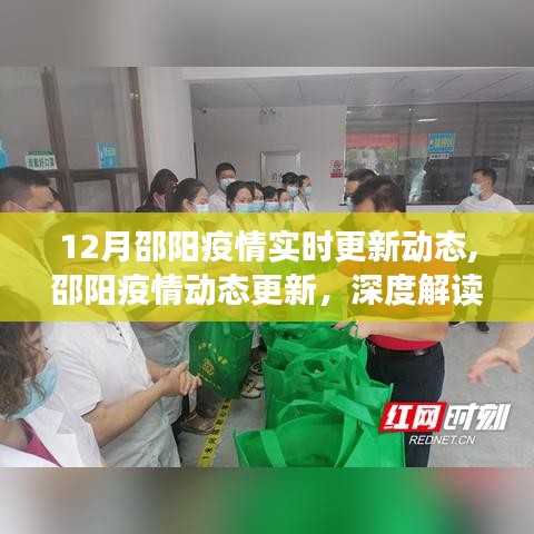 邵阳疫情最新动态解读与观点阐述，深度分析实时更新数据