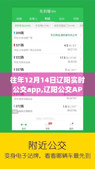 辽阳实时公交APP历年12月14日深度解析，功能、优化与挑战回顾总结