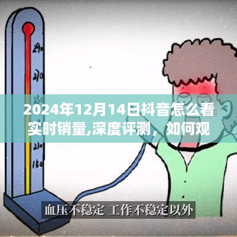 洞悉市场趋势，抖音实时销量深度解析与观看指南（以2024年12月14日为例）