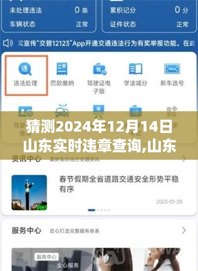 山东实时违章查询指南，一步步学会查询未来交通违章信息（以2024年12月14日为例）