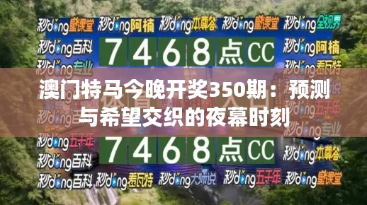 澳门特马今晚开奖350期：预测与希望交织的夜幕时刻