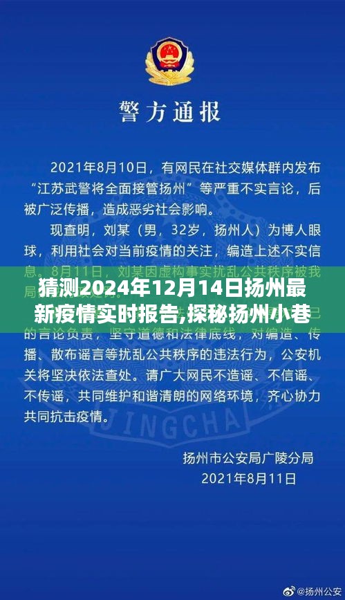 探秘扬州小巷深处的防疫秘境，特色小店的疫情实时报告与独特风情（预测至2024年12月）