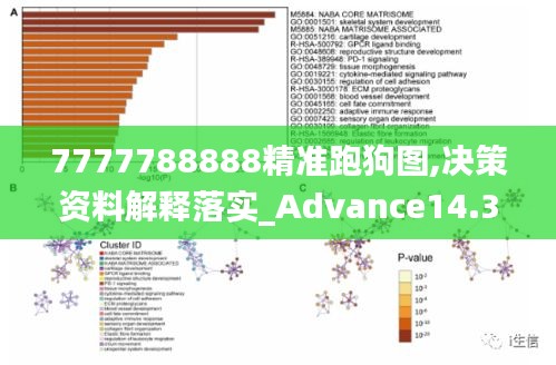 7777788888精准跑狗图,决策资料解释落实_Advance14.323