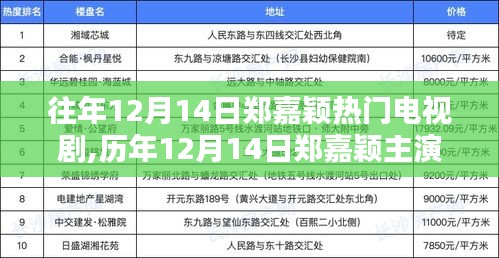 郑嘉颖经典电视剧回顾，历年12月14日主演佳作永恒魅力展现