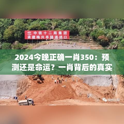 2024今晚正确一肖350：预测还是命运？一肖背后的真实意义