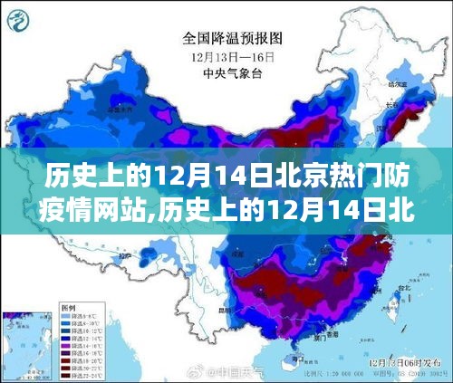 历史上的12月14日北京热门防疫情网站深度解析与评测报告