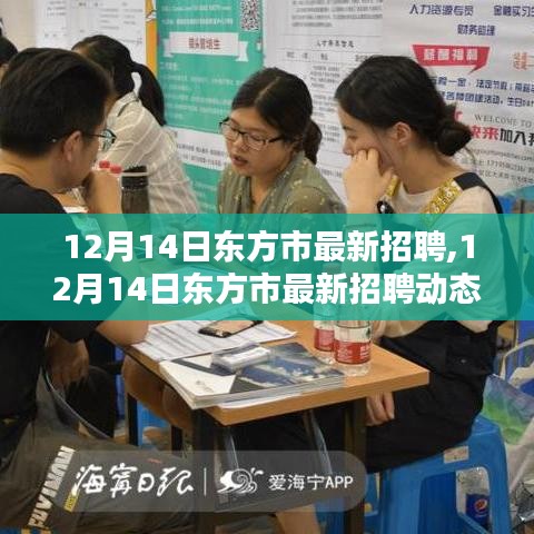 12月14日东方市最新招聘动态及求职指南