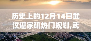 武汉谌家矶，探寻自然美景之旅与内心宁静的历程——历史上的12月14日热门规划回顾