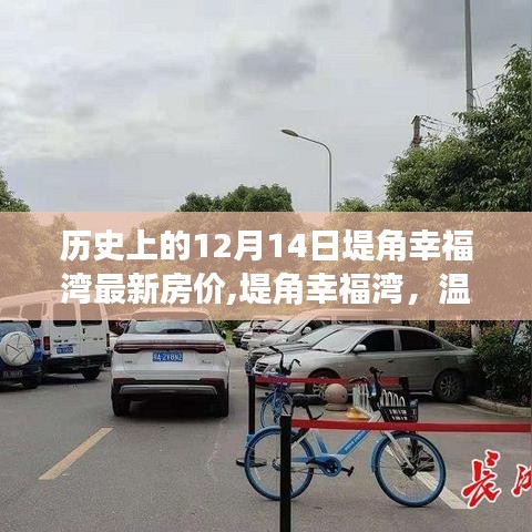 堤角幸福湾最新房价揭秘，温馨家园的日常与历史回顾