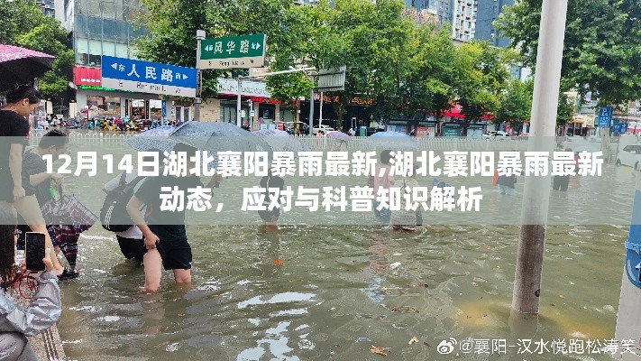 湖北襄阳暴雨最新动态及应对科普知识解析（实时更新）