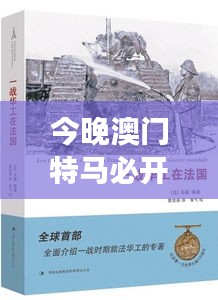 今晚澳门特马必开一肖351期：历史与现实的交融，鉴证澳门特马传奇