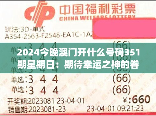 2024今晚澳门开什么号码351期星期日：期待幸运之神的眷顾