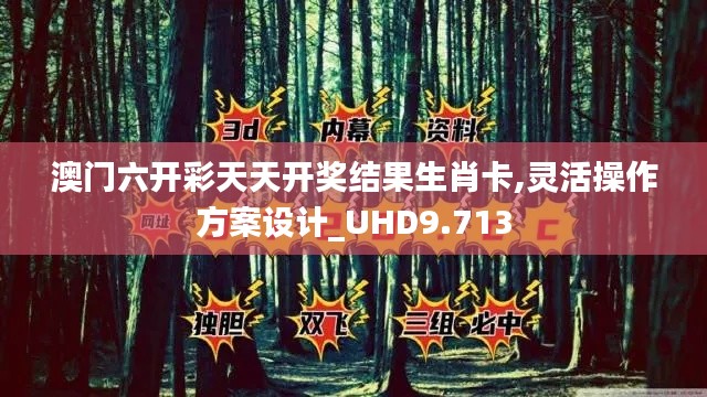 澳门六开彩天天开奖结果生肖卡,灵活操作方案设计_UHD9.713