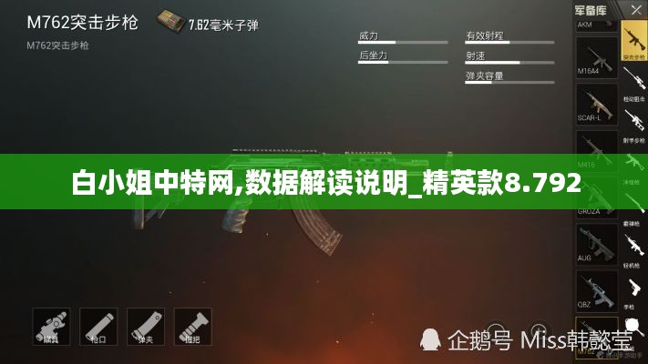 白小姐中特网,数据解读说明_精英款8.792