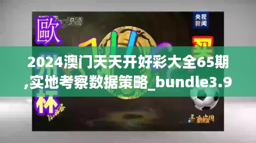 2024澳门天天开好彩大全65期,实地考察数据策略_bundle3.934