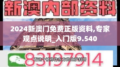 2024新澳门免费正版资料,专家观点说明_入门版9.540