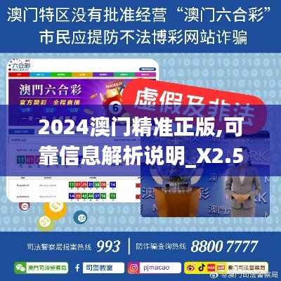 2024澳门精准正版,可靠信息解析说明_X2.536