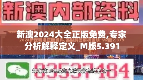 新澳2024大全正版免费,专家分析解释定义_M版5.391