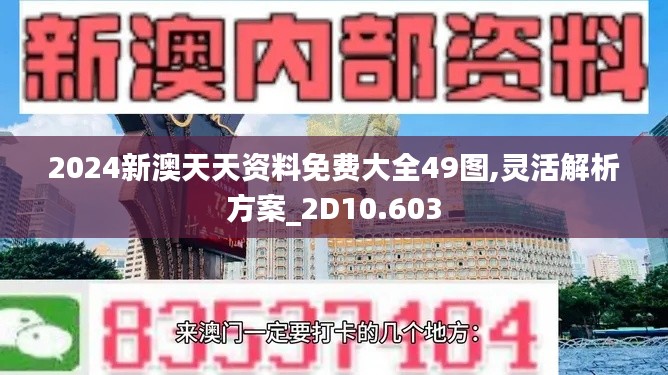 2024新澳天天资料免费大全49图,灵活解析方案_2D10.603