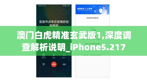 澳门白虎精准玄武版1,深度调查解析说明_iPhone5.217