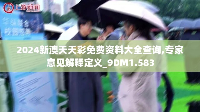 2024新澳天天彩免费资料大全查询,专家意见解释定义_9DM1.583