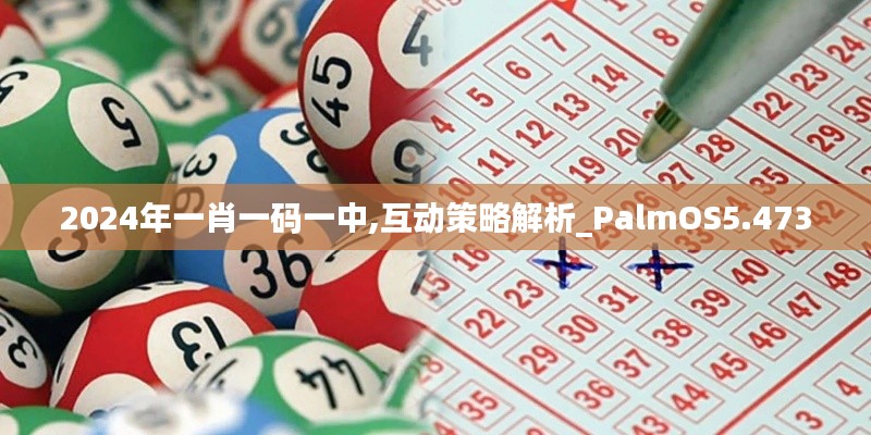 2024年一肖一码一中,互动策略解析_PalmOS5.473