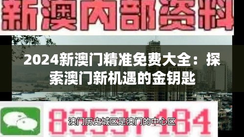 2024新澳门精准免费大全：探索澳门新机遇的金钥匙