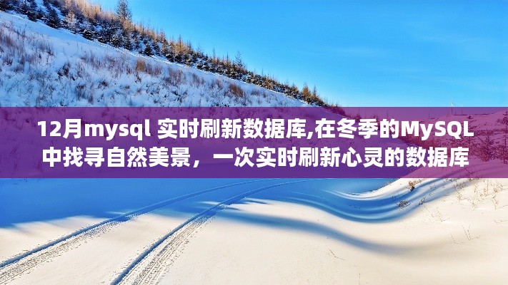 冬季MySQL实时刷新之旅，数据库与自然美景的交融