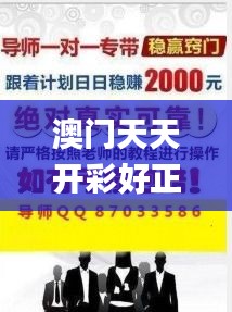 澳门天天开彩好正版挂牌2024,最新核心解答落实_Z10.159