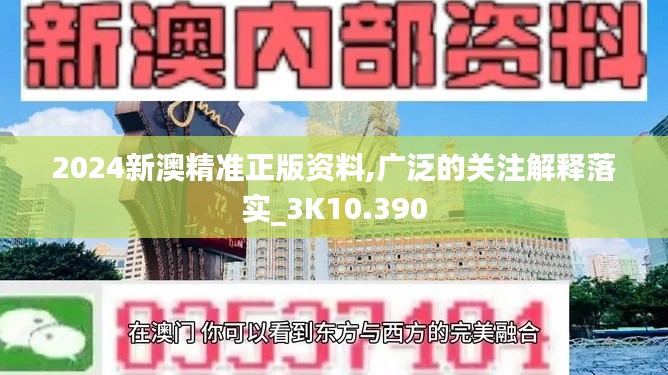 2024新澳精准正版资料,广泛的关注解释落实_3K10.390