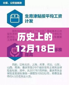 历史上的12月18日医保缴费实时到账服务详解，实时到账、服务评测与介绍