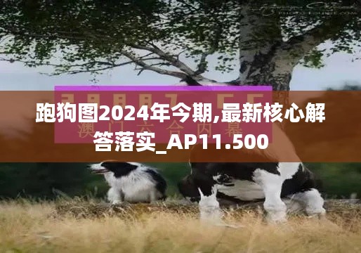 跑狗图2024年今期,最新核心解答落实_AP11.500