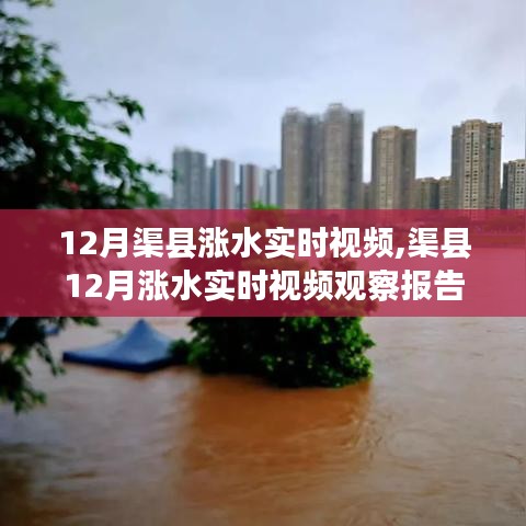 渠县12月涨水实时视频观察与报告，最新动态揭秘涨水过程