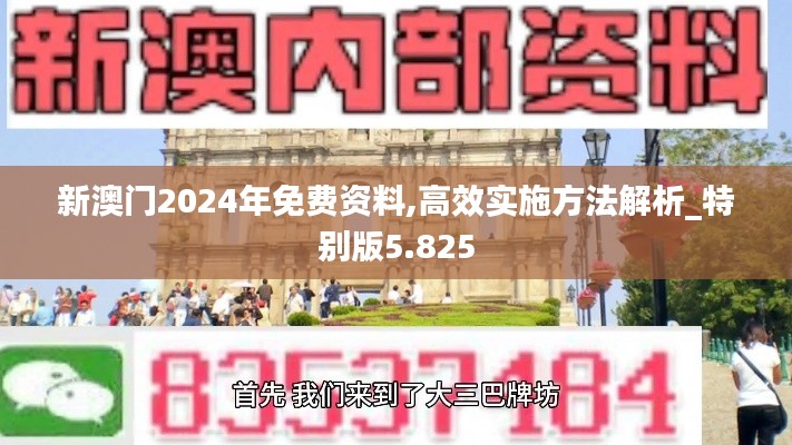 新澳门2024年免费资料,高效实施方法解析_特别版5.825