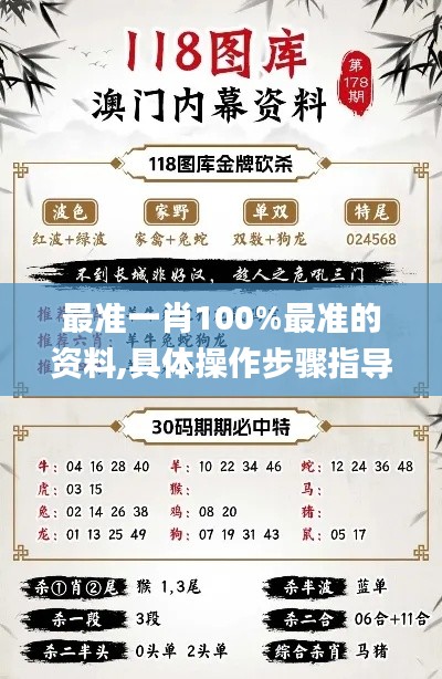 最准一肖100%最准的资料,具体操作步骤指导_专属款3.430